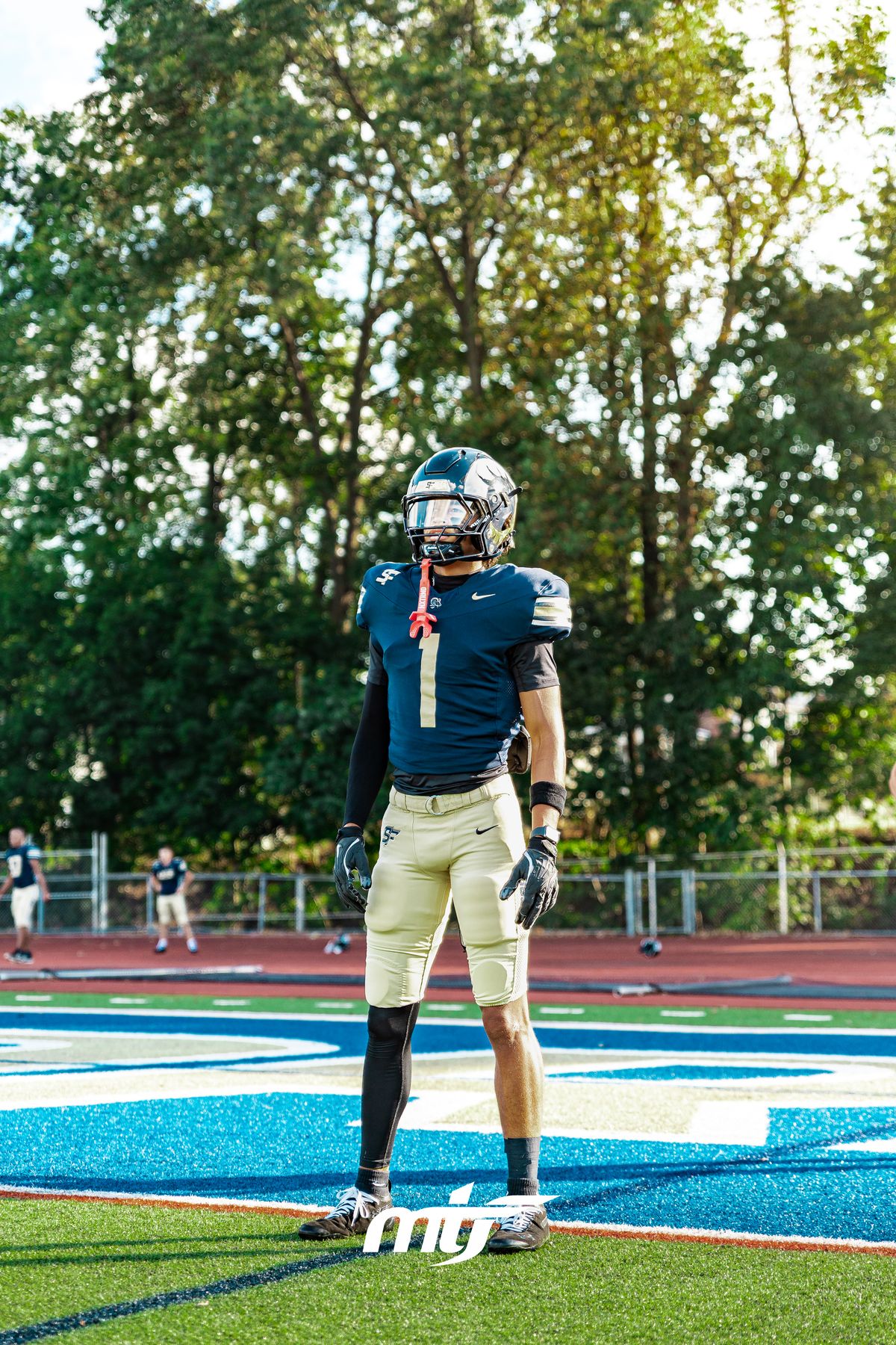 Football player standing at midfield in evening light