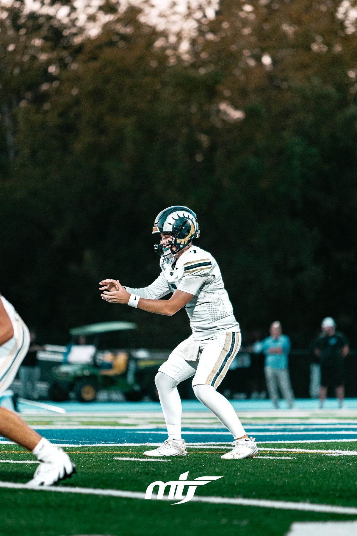 Quarterback dropping back to pass